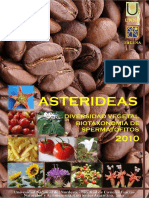 9-Asterides FINAL ESO PDF