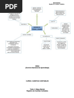 Mapa Mental, Registro de Cuentas Contables