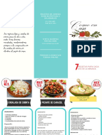 Triptico PDF