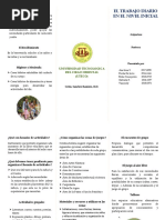 Brochure Educacion Inicial