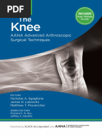 5 The Knee PDF