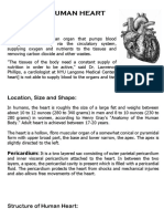 The Human Heart: Location, Size and Shape