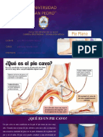 Pie Plano