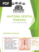 Anatomia Genital Femenina