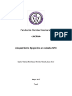 Atrapamiento Epiglotico en Caballos PDF