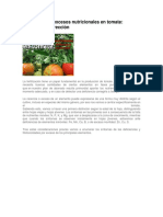 Deficiencias y Excesos Nutricionales en Tomate Excelente