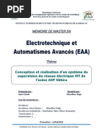 Mémoire Master EAA Fini Chiab PDF