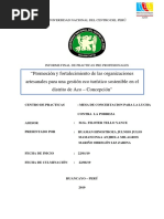 Informe Final de Aco