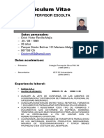 CV Erick 2018 26 PDF