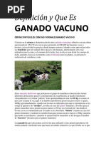 Definición Ganado Vacuno