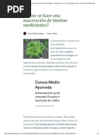 ¿Cómo Se Hace Una Maceración de Hierbas Medicinales - Plantas para Curar - Propiedades y Usos de Las Plantas Medicinales