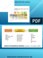 Procesos Biogeneticos