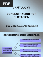 Capitulo VII 2019 Teoría