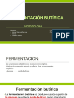 Ejemplos de Microorganismos Que Realizan Fermentacion Butirica