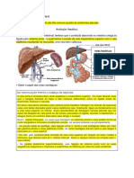 Síndromes Ictéricas