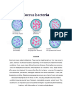 Coccus