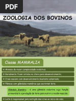 Zoologia Dos Bovinos - AGRVET