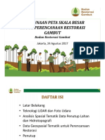 Paparan Pemetaan Lidar Deputi 1 BRG - Sosialisasi Gambut - V2