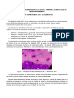 Tinción de Endosporas, Cápsula y Prueba de Motilidad de Microorganismos