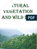 Natural Vegetation and Wild Life