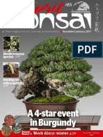 Esprit Bonsai International - December 2016 - January 2017