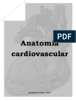 Apostila de Sistema Cardiovascular