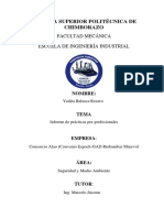 Informe Final Practicas Pre-Profesionales - Yb