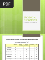 Eficiencia Energetica 1