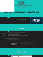 4.1 Fenoles y Heterosidos PDF