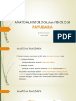 Anatomi Dan Histologi Payudara