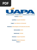 Yari. Tarea 2 de Estrategias de Produccion Escrita