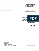 DS70 Apisonador