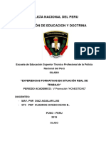 D - 20 - DIAZ - 2019063SILABO EXPERIENCIAS FORMATIVAS 2019 Experiencias Formativas en Situacion Real