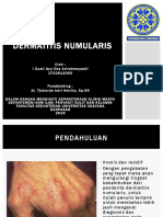 Lapsus Dermatitis Numular