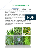 Plantas Medicinales