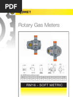 Rotary Gas Meters: Rm16 - Soft Metric