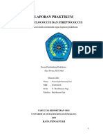 Laporan Praktikum Bakteri Streptococcus Dan Sthapylococcus