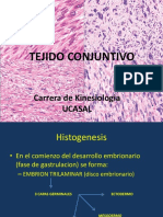 Histologia Conectivo UCASAL