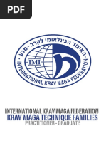 Krav Maga Technique Categories and Families