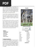 Canis Latrans