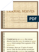 Cranial Nerves