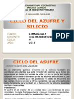 Ciclo Del Asufre y Silicio