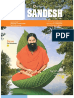 YogSandesh November Eng2010