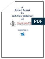 Cash Flow Statement Project