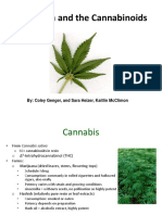 Medical Marijuana Presentation