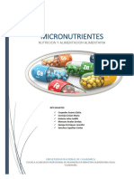 Grupo 4 Micronutrientes