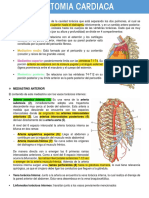 Anato Cardiaca