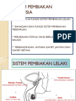 Bab 4 (1) Sistem Pembiakan Manusia