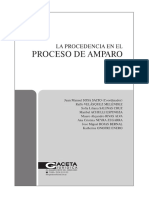 Amparo Procedencia PDF