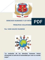 Derechos Humanos y Principio Voluntarios